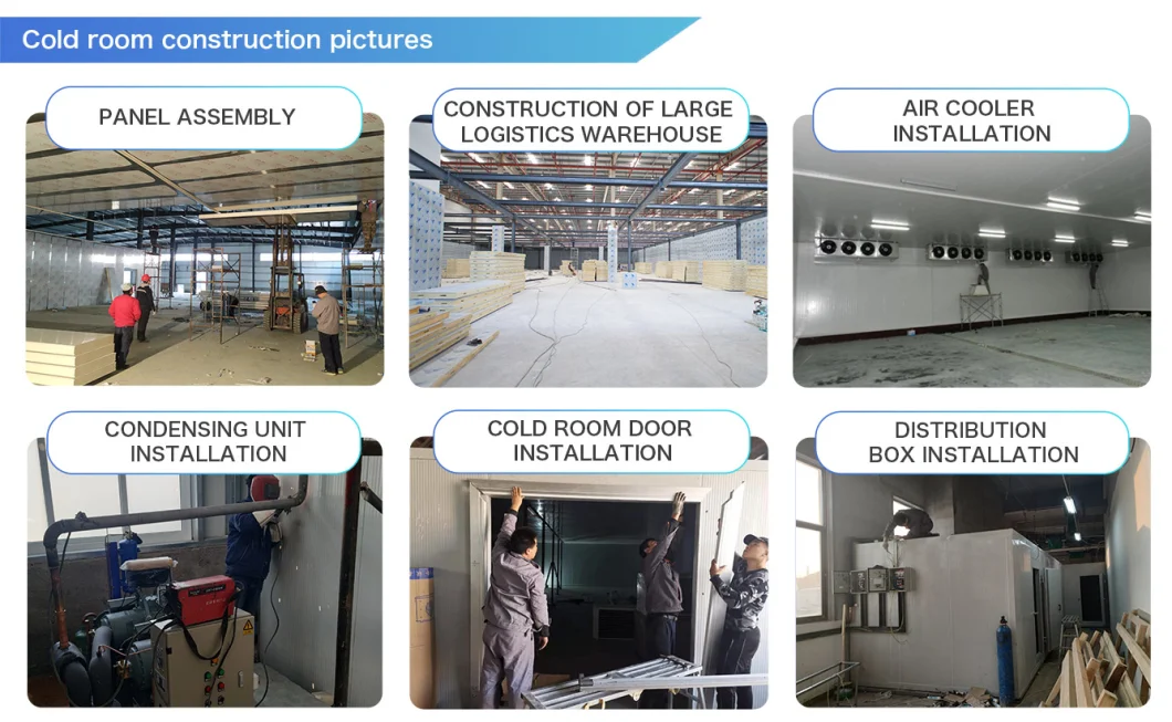 Commercial Ice Cream Storage Cold Room with Color Steel Painting